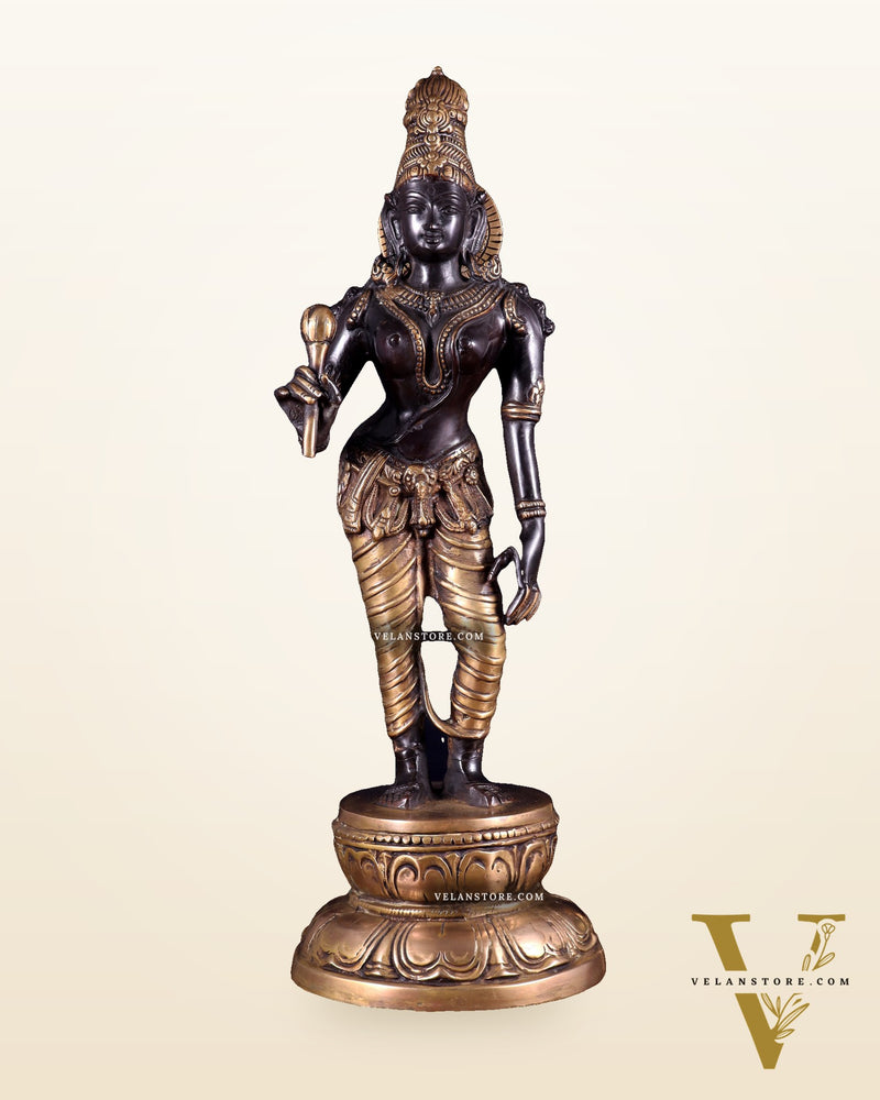 Beautiful Bhoga Shakti Pure Brass Uma Parvati Standing Statue – Black Edition 20 inch