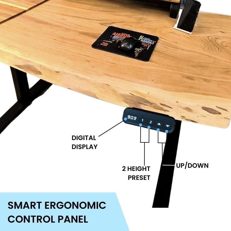 Quantum live edge height adjustable desk with black legs