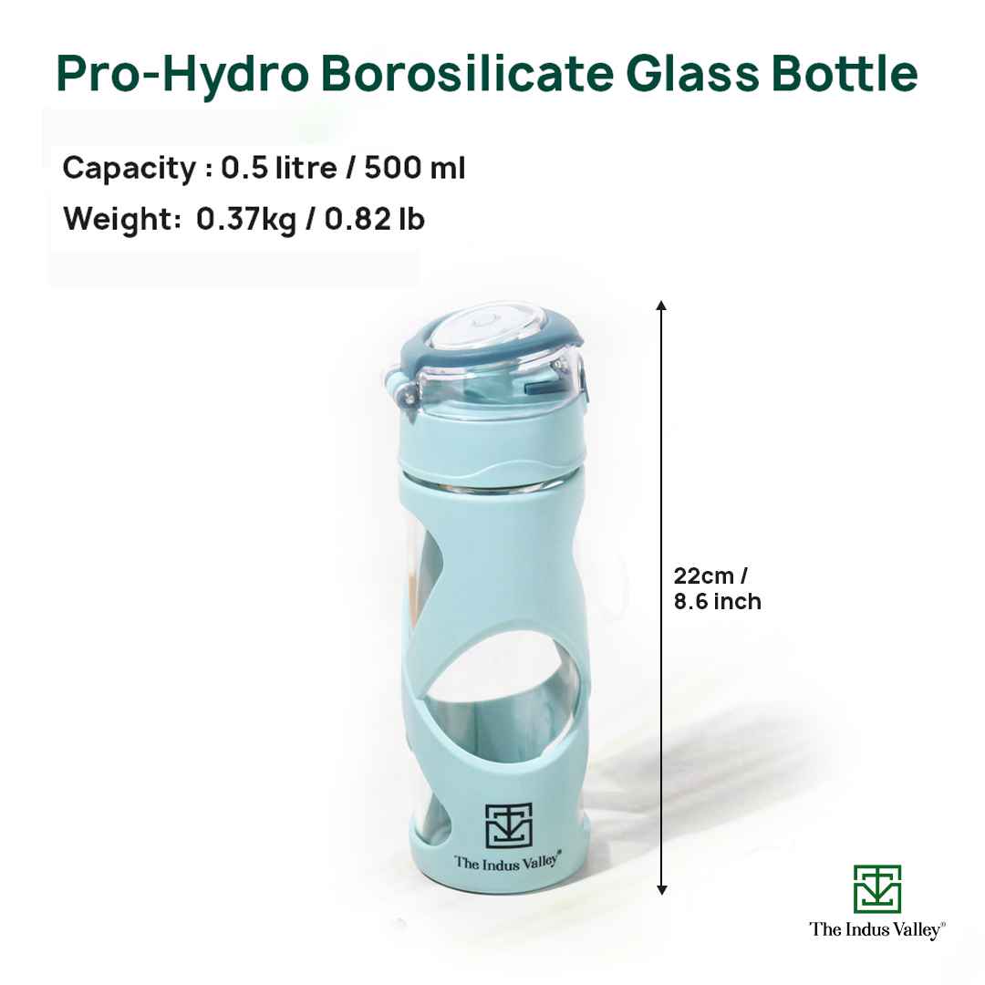 Premium Pro-hydro Borosilicate Glass Bottle | 500ml | Removable Filter | Dark blue, Light blue