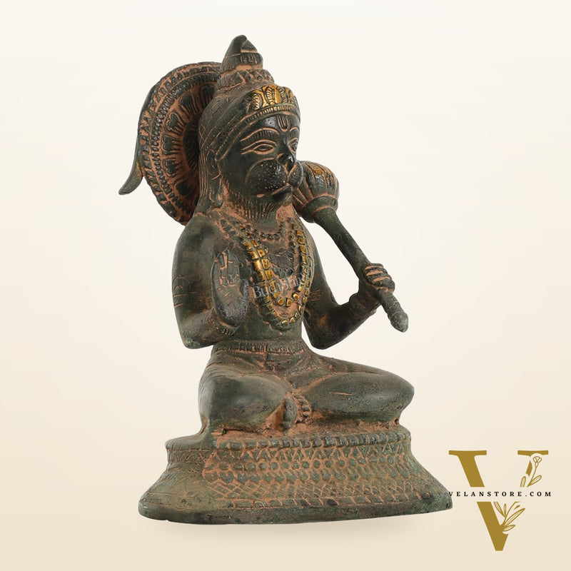 Brass Aashirwaad Blessing Hanuman idol 7"