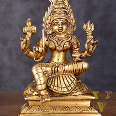 Brass Anglamam Mariamman Goddess Statue - 6" Height, Hindu Deity of Rain