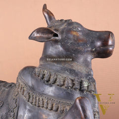 Brass Antique Large Nandi Sculpture | BudhShiv 33"