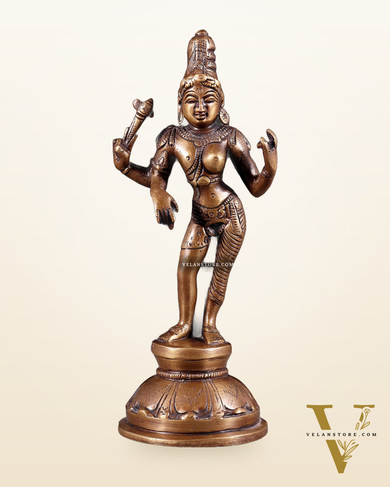 Brass Ardhanarishwara Idol 8.5"