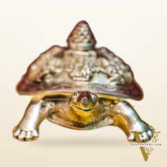 Brass Ashtalakshmi Shree Yantra on Tortoise