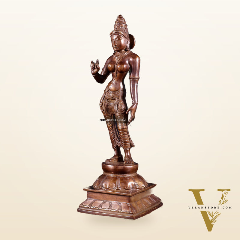 Brass Bhoga shakti Devi Uma Parvati Idol | 10 Inch Dark brown