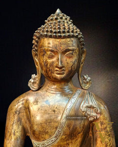 Brass Bhumisparsha Buddha in Nirvana | Super Antique Tone | 21" Height | 16 kg"