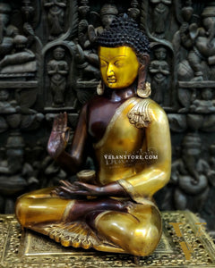 Brass Blessing Buddha Duel tone 20"