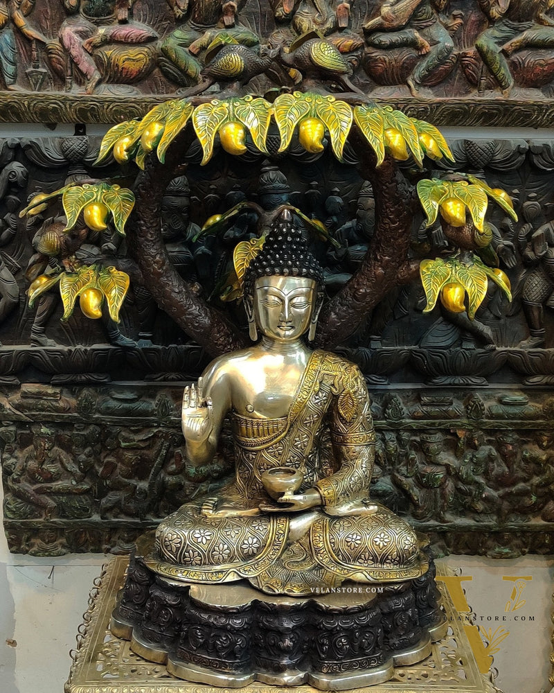 Brass Buddha Under Mango Tree 30 inch