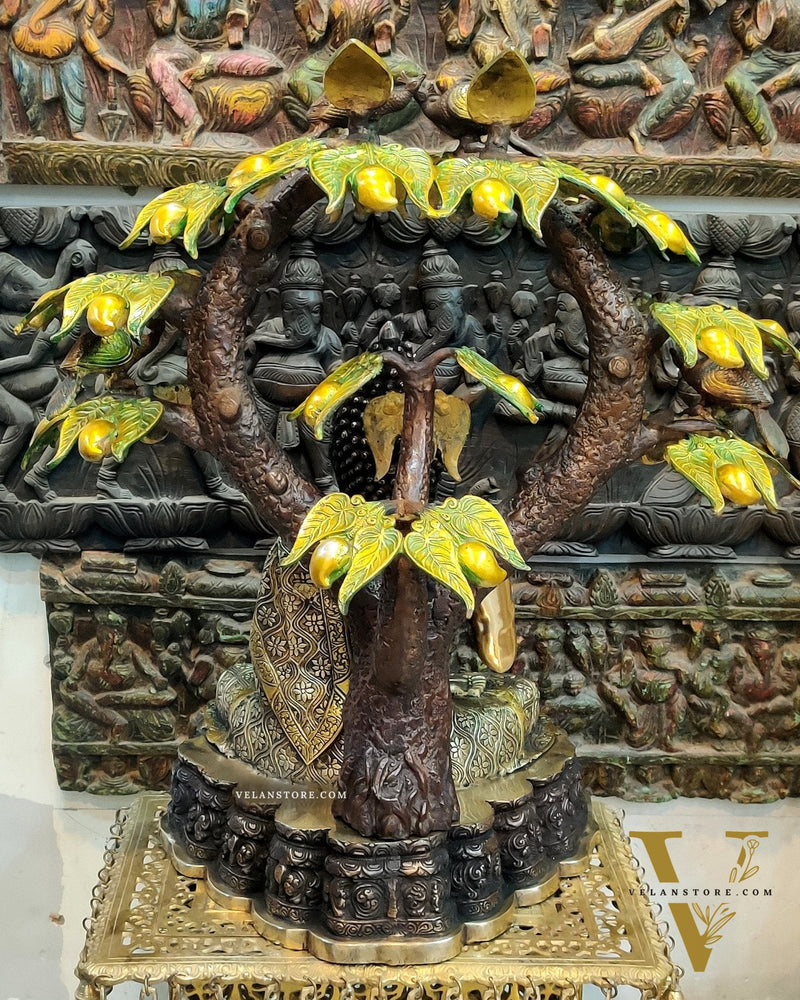 Brass Buddha Under Mango Tree 30 inch