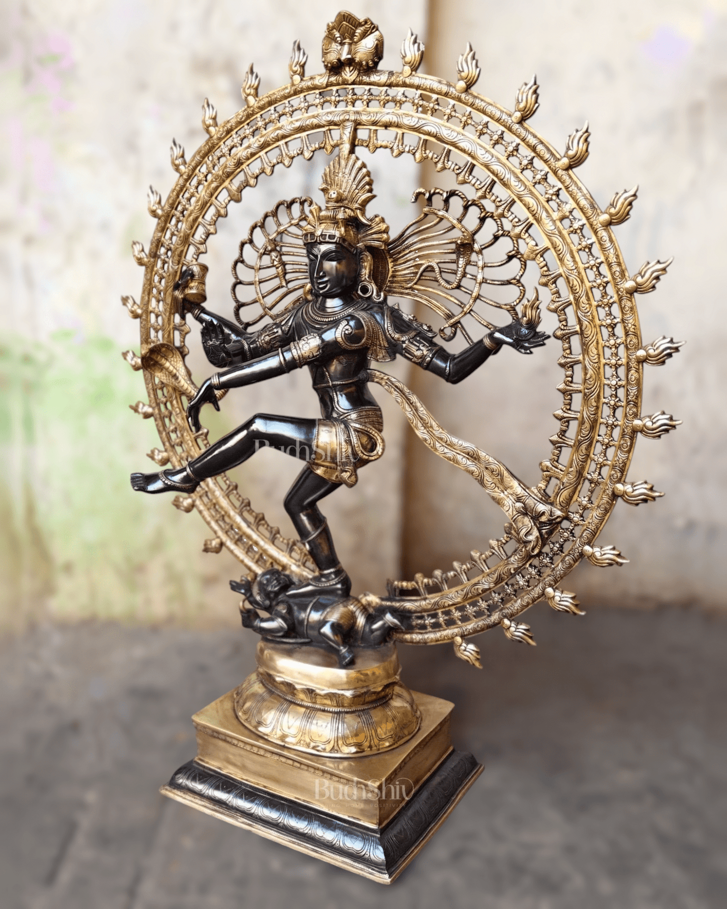Brass Dancing Shiva as Nataraja Statue – Black & Gold Finish, 46.5 Inch