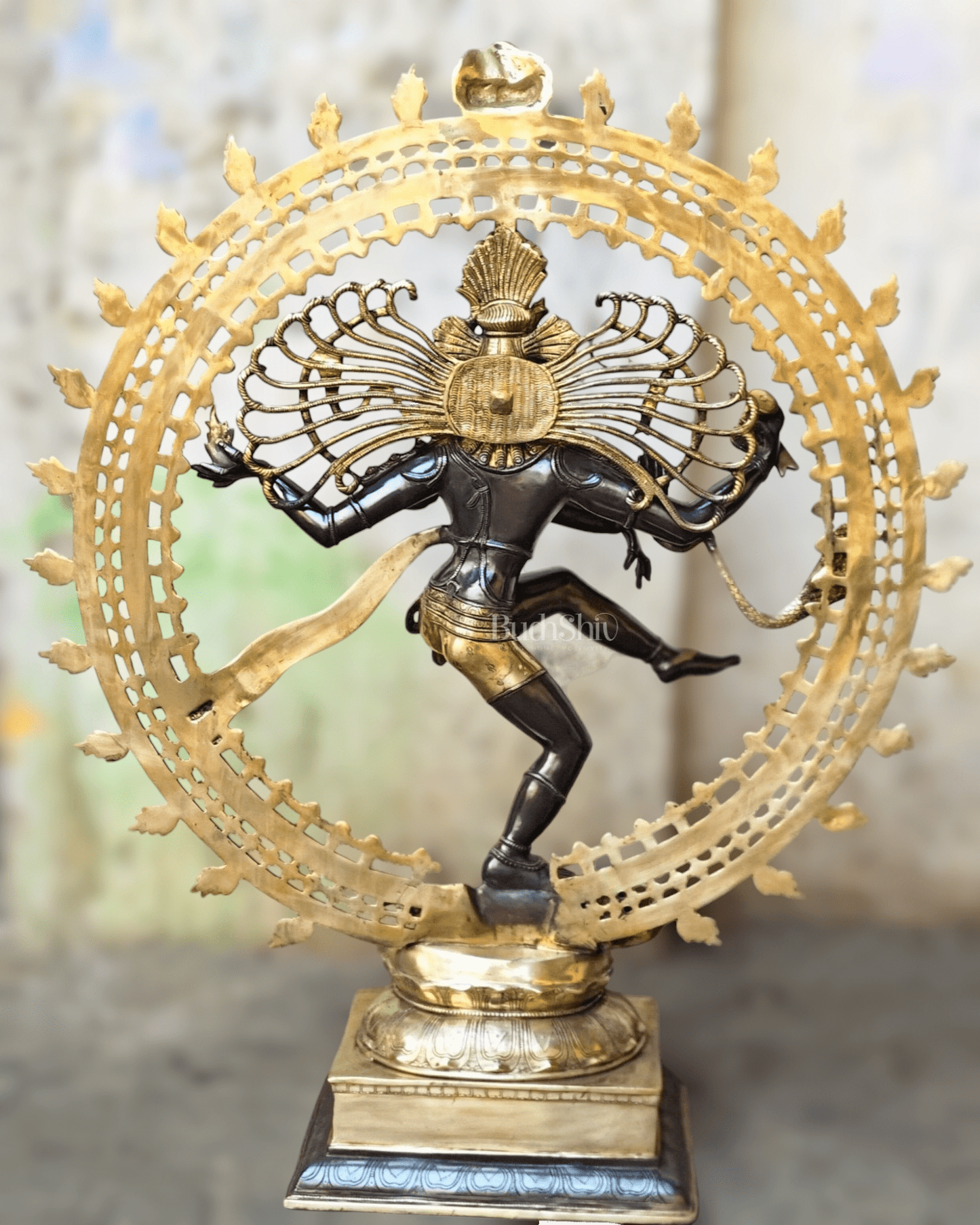 Brass Dancing Shiva as Nataraja Statue – Black & Gold Finish, 46.5 Inch