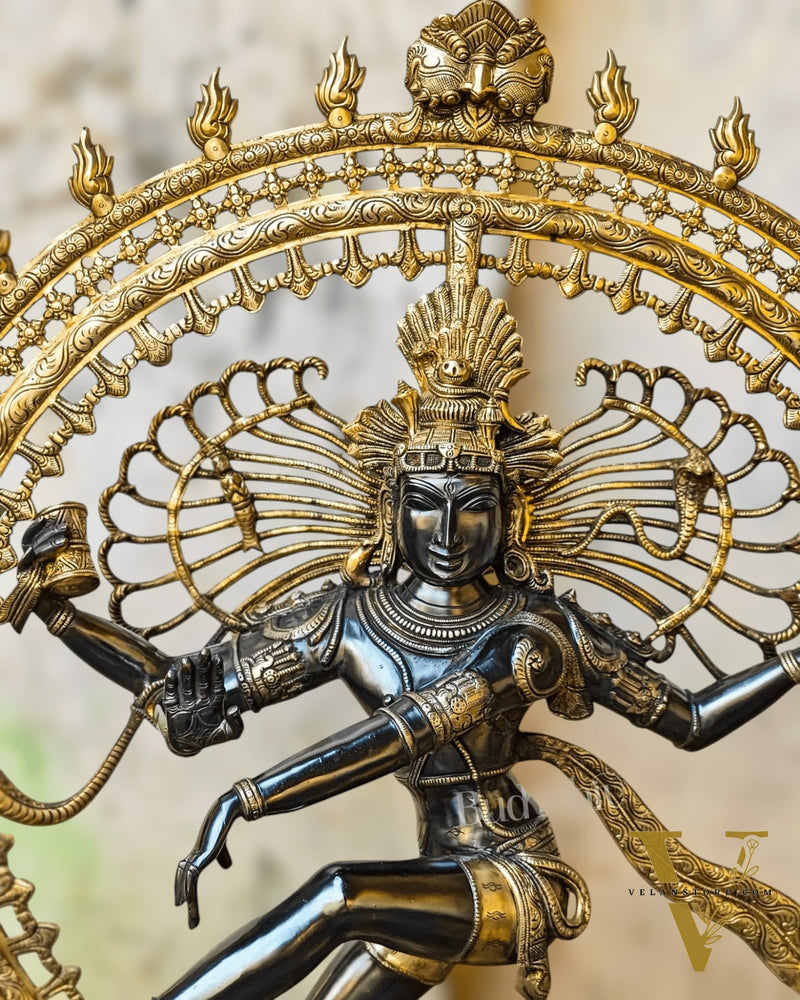 Brass Dancing Shiva as Nataraja Statue – Black & Gold Finish, 46.5 Inch