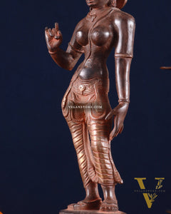 Brass Devi Parvati Uma Idol | 10 Inches | red sand finish
