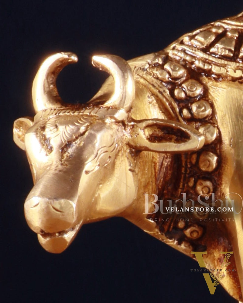 Brass Kamdhenu Cow with Calf Idol – 5 x 7 x 3.4 Inches, 1.5 Kg