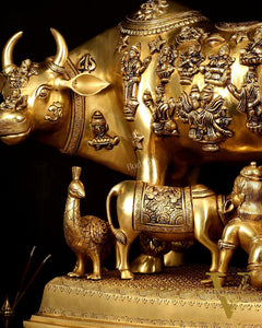 Brass Kamdhenu Large Cow with Calf, bal gopal and engraved deities 20"