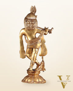 Brass Krishna Standing on a Lotus Base – Pure Brass Unique Sculpture 19"