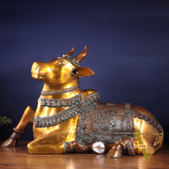 Brass Large Nandi Sculpture | BudhShiv 33" radiant gold