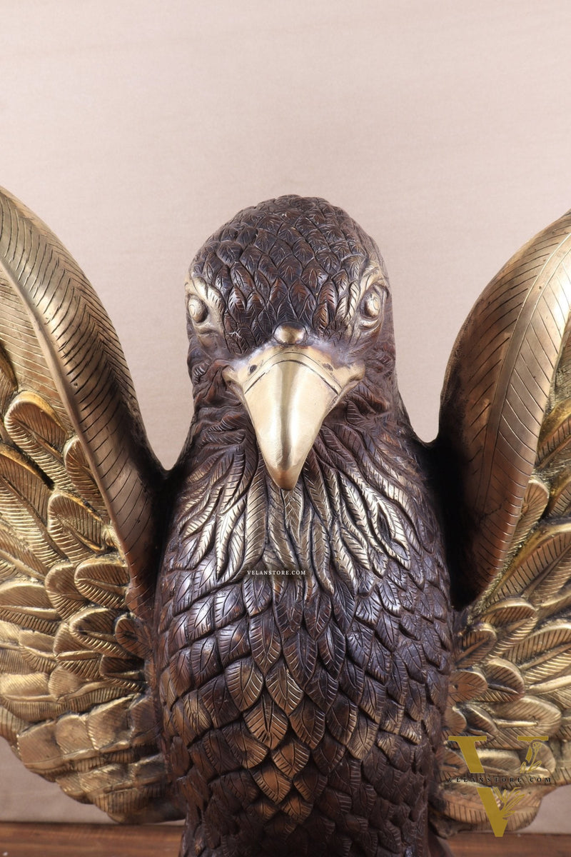 Brass Massive Eagle Jatayu with Open Wings Sculpture 41 inch