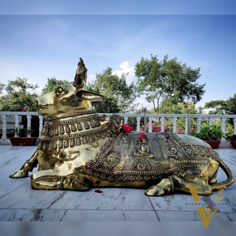 Brass Nandi Statue with Lord Shiva Carvings – Massive 44"x81"x35", 145 kg