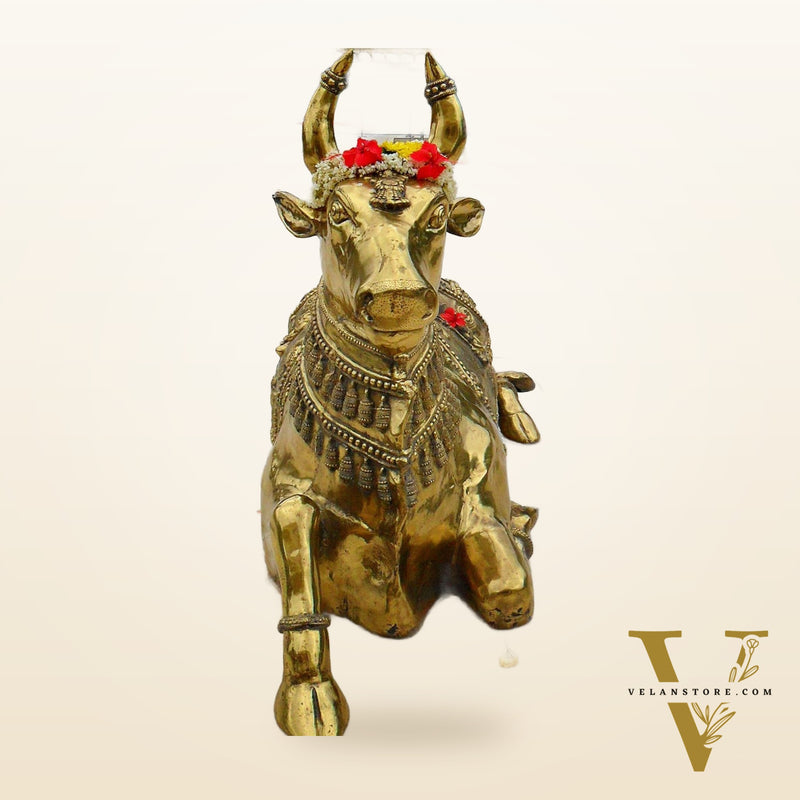 Brass Nandi Statue with Lord Shiva Carvings – Massive 44"x81"x35", 145 kg