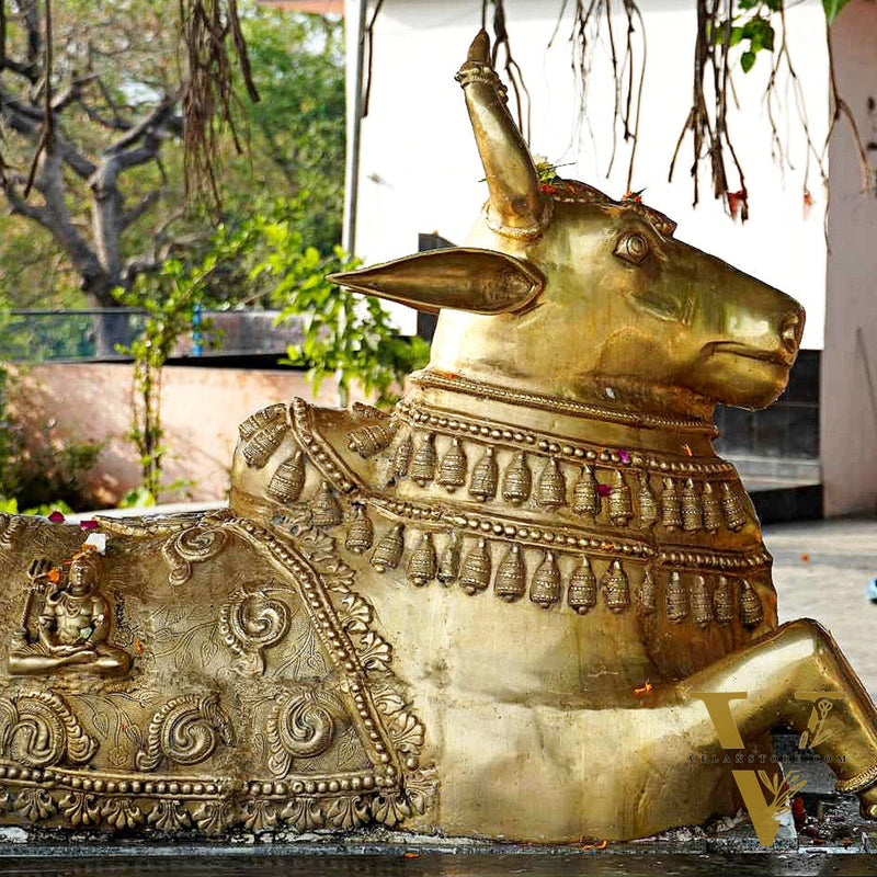 Brass Nandi Statue with Lord Shiva Carvings – Massive 44"x81"x35", 145 kg