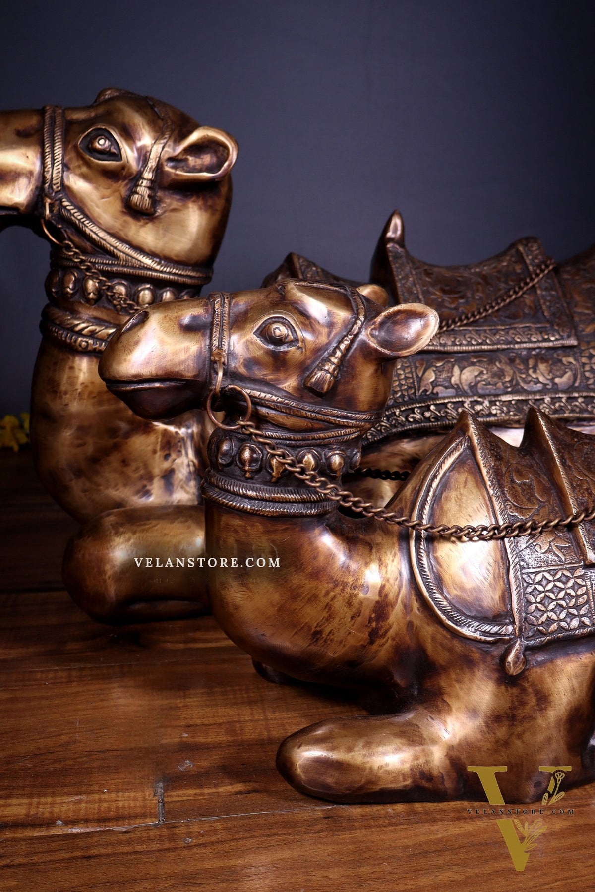 Brass Pair of large Sitting Camel Statues 36" Vastu approved