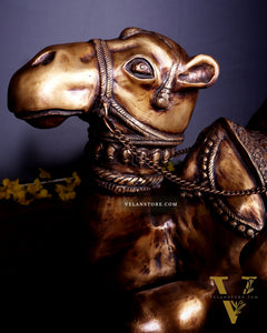 Brass Pair of large Sitting Camel Statues 36" Vastu approved