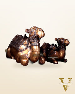 Brass Pair of large Sitting Camel Statues 36" Vastu approved