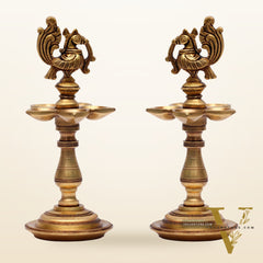 Brass Peacock Oil Lamp 8"