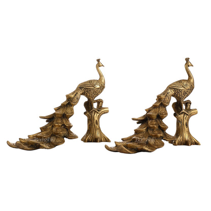 Brass peacock showpiece 12 inch