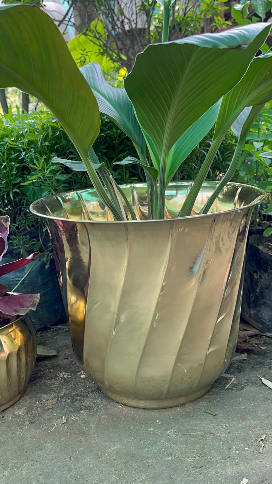 Brass Planters / Plant Pots Gloss