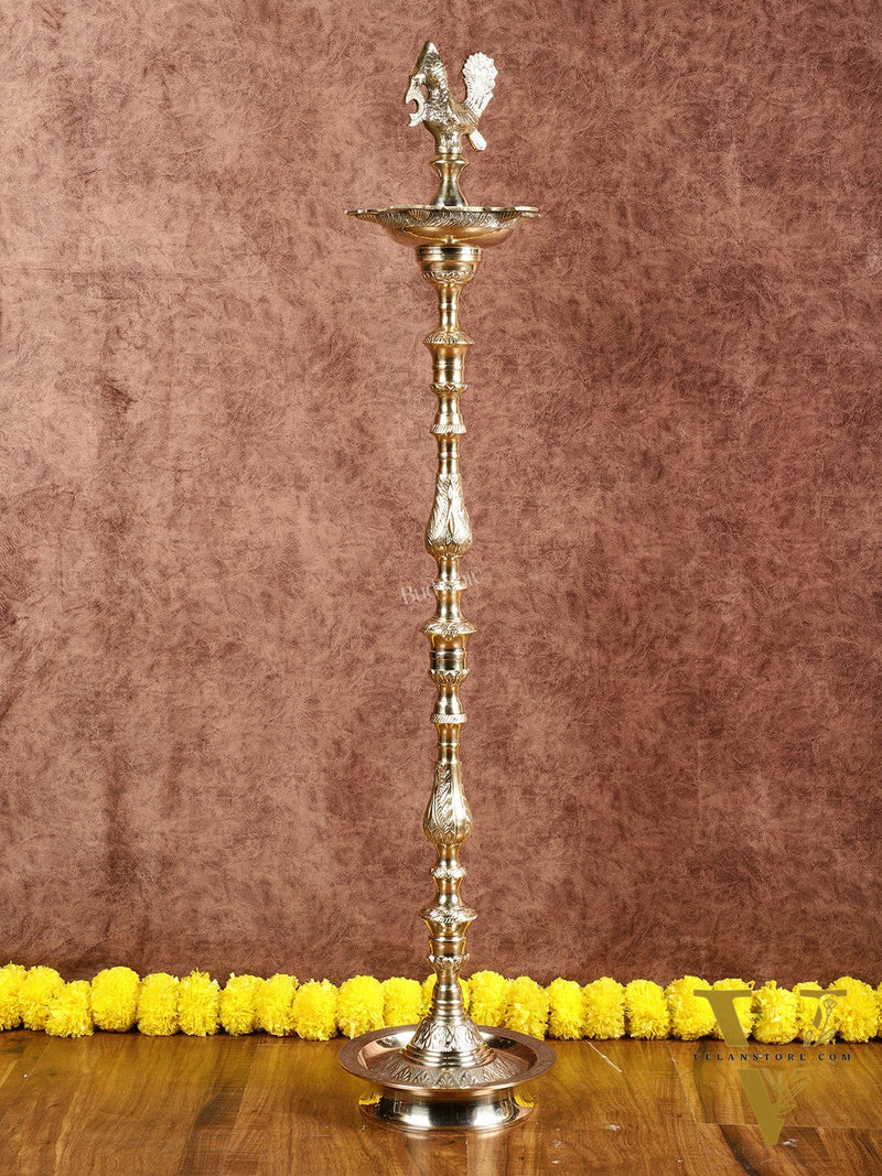Brass Samai Peacock Inauguration Lamps 3 feet