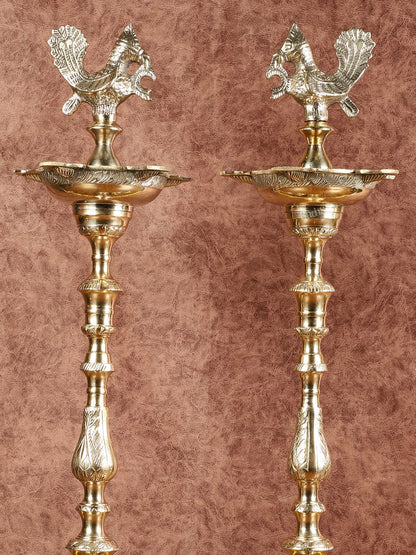 Brass Samai Peacock Inauguration Lamps 3 feet