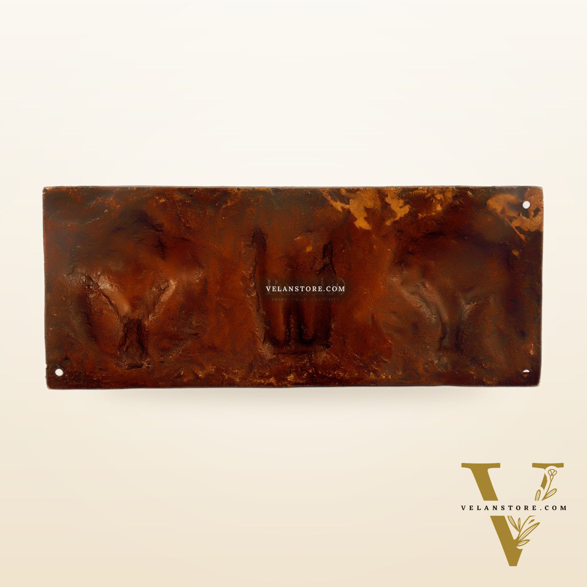 Brass Shankh Chakra & Namah Wall Plates | Lord Tirupati Balaji Symbol | 10x4 inch