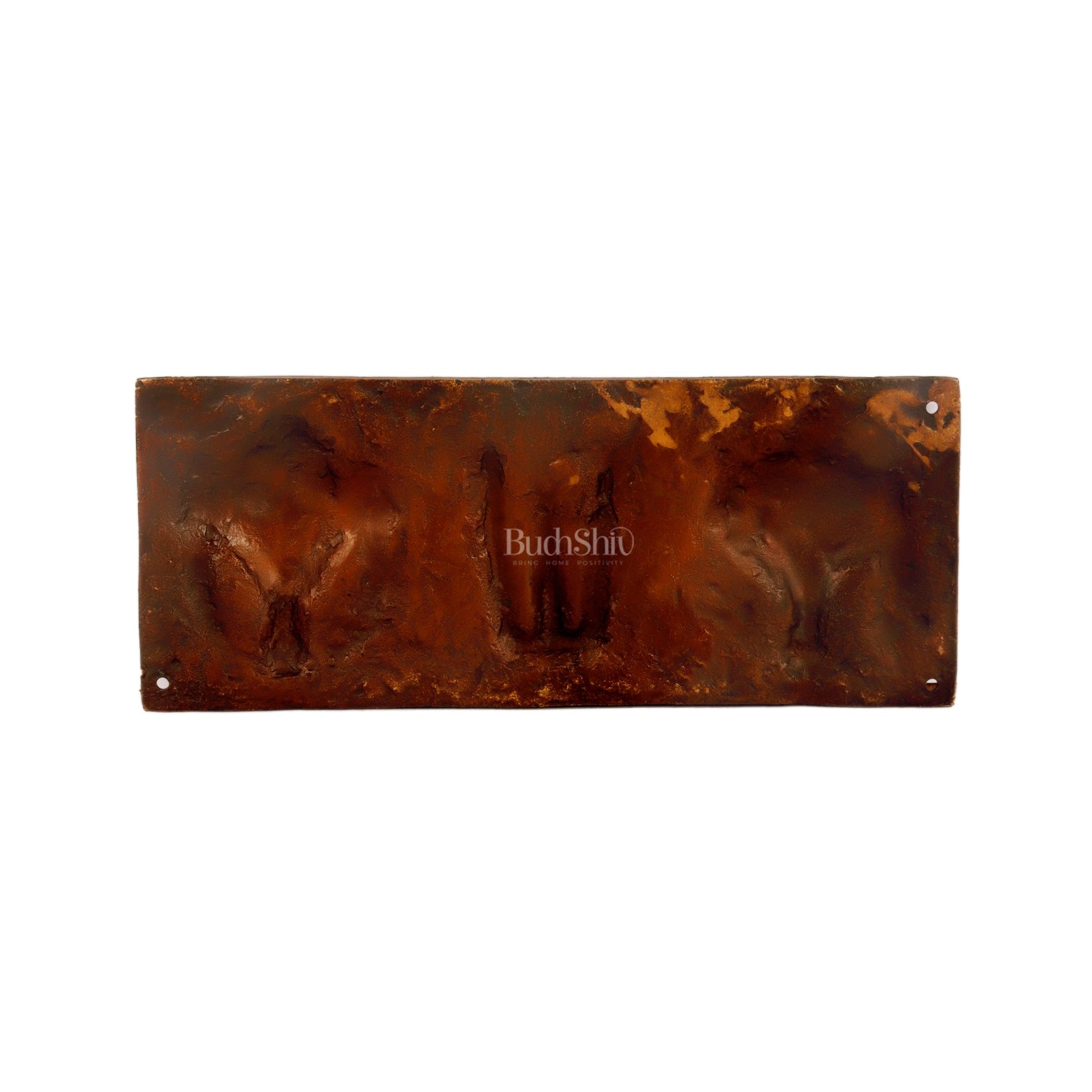 Brass Shankh Chakra & Namah Wall Plates | Lord Tirupati Balaji Symbol | 10x4 inch