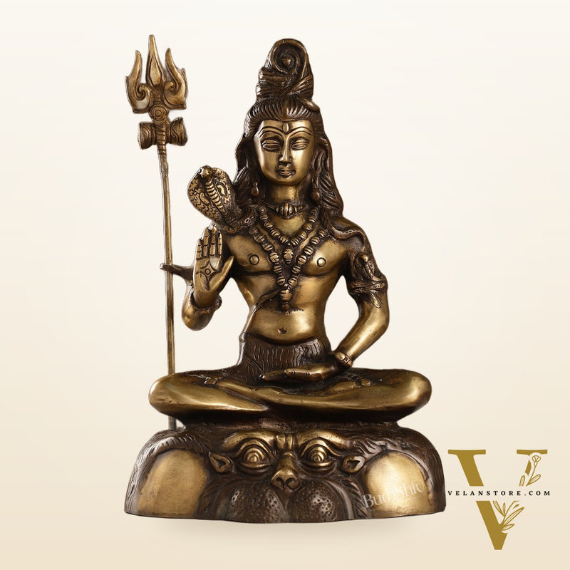 Brass Shiva Statue Duel tone 13"