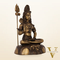 Brass Shiva Statue Duel tone 13"
