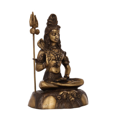 Brass Shiva Statue Duel tone 13"