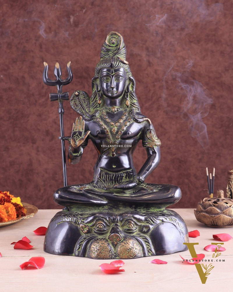 Brass Shiva Statue Duel tone black and green 13"