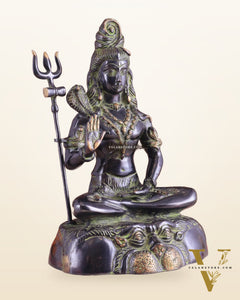 Brass Shiva Statue Duel tone black and green 13"