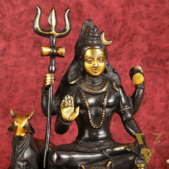 Brass Shiva statue with nandi 9" black antique