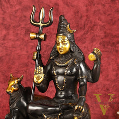 Brass Shiva statue with nandi 9" black antique