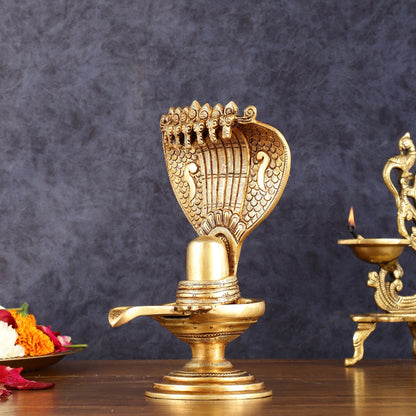 Brass Shivling 8 "