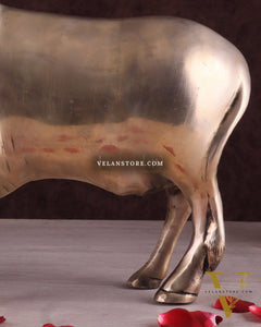 Brass Standing Cow Idol - Gomatha Statue glossy Finish | 13 inch