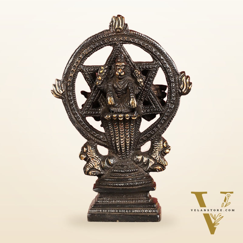 Brass Sudharashna Chakara Vishnu and Narsimha Chakrathazhwar 4" black