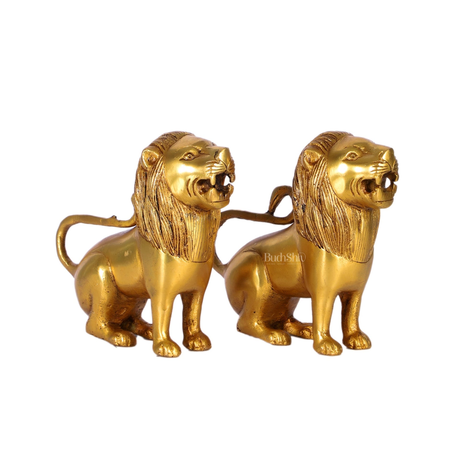 Brass Superfine Lion pair 6"