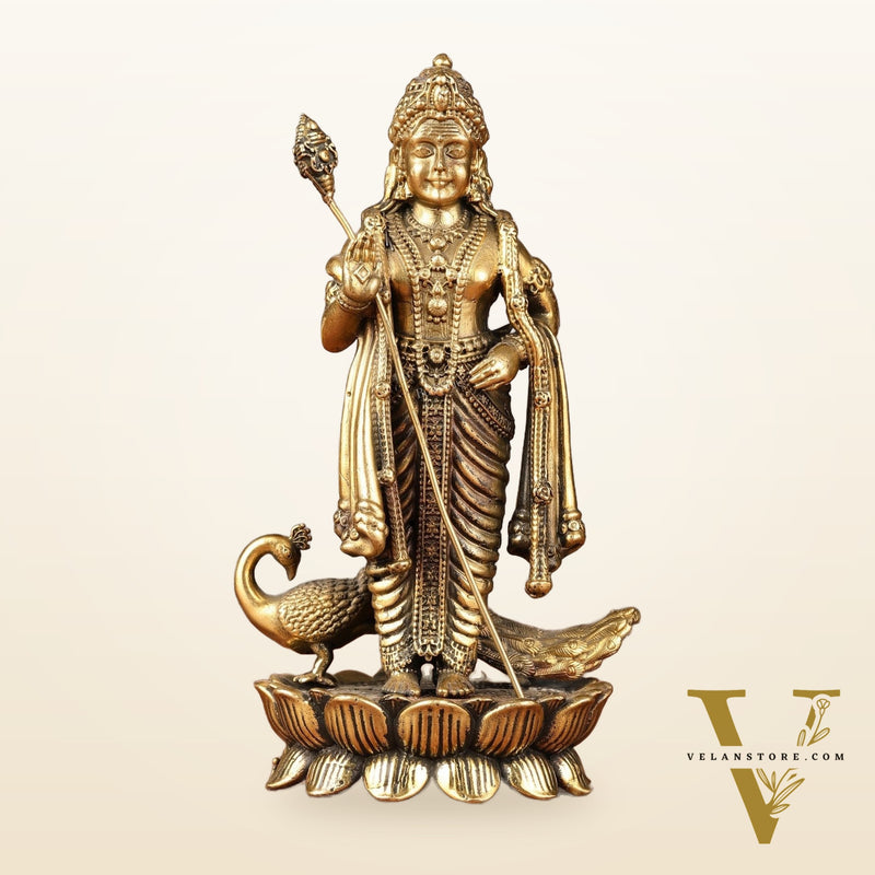 Brass Superfine Murugan Swamy Kartikeya with Peacock Idol | 6.5"