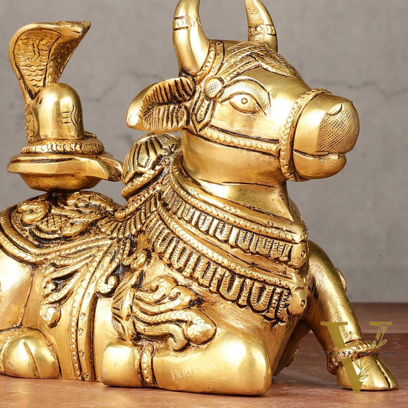 Brass Superfine Nandi with Shiv Ling Idol 8"
