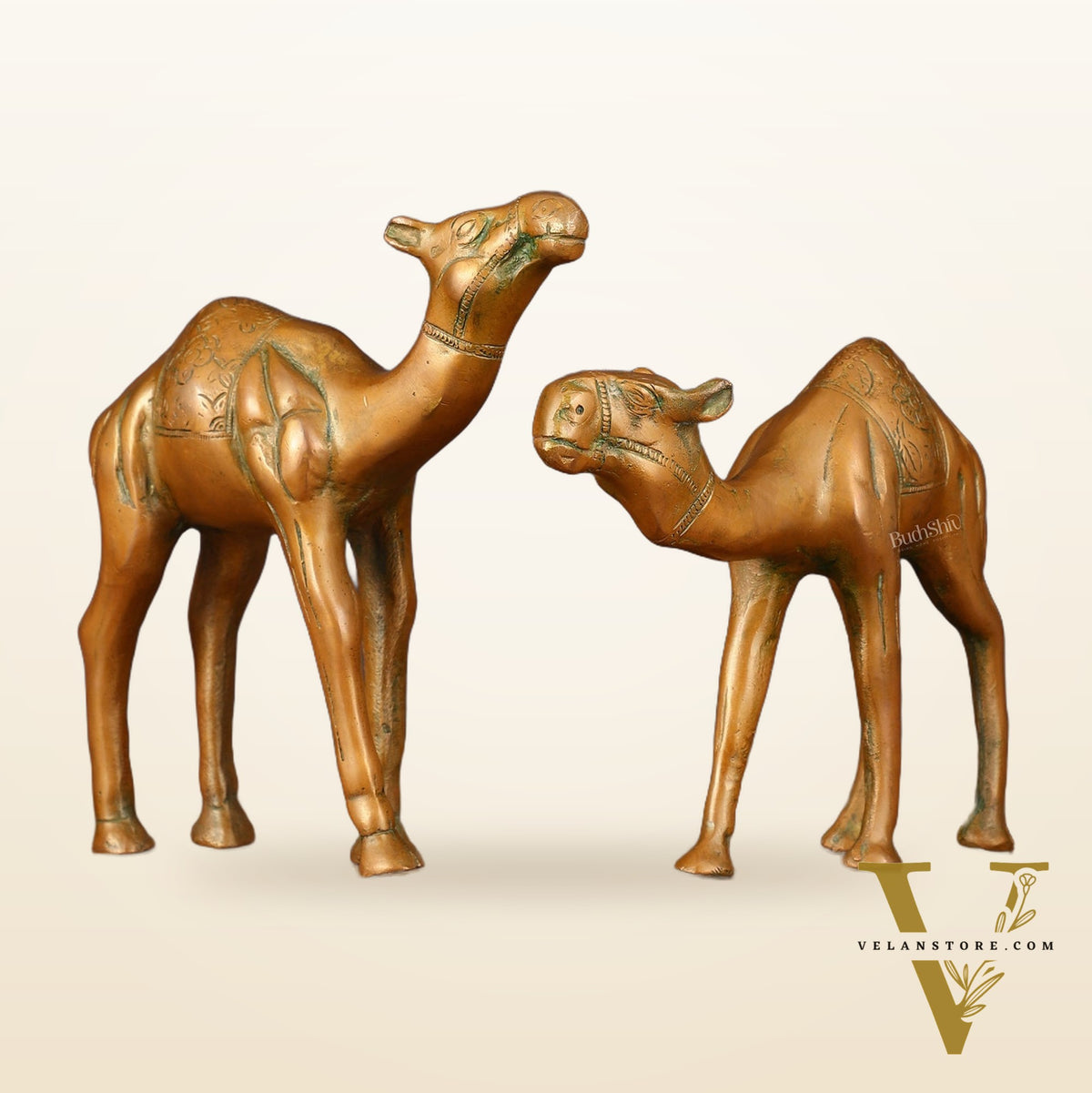 Brass Superfine Pair of Camel Vastu Recommended - 7" Tall