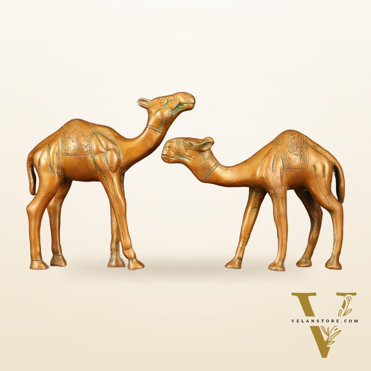 Brass Superfine Pair of Camel Vastu Recommended - 7" Tall